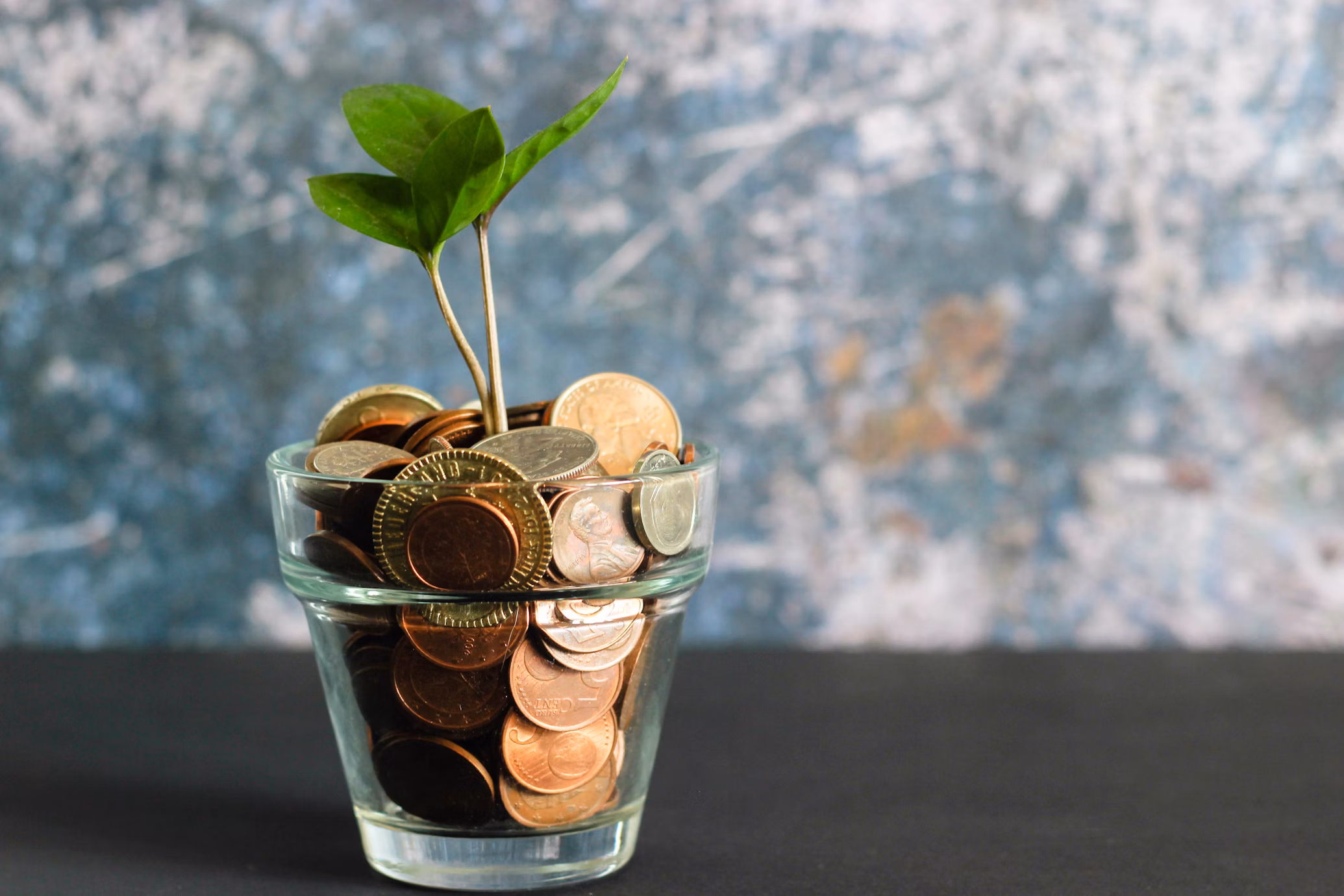 Financial Services